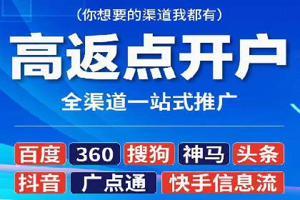 百度竞价广告投放策略：案例分析及效果评估
